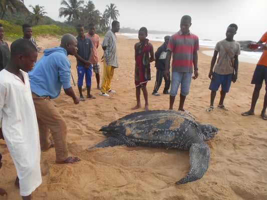 Fundación Rode: Apoyo a la Primera Área Marina Protegida de Costa de Marfil