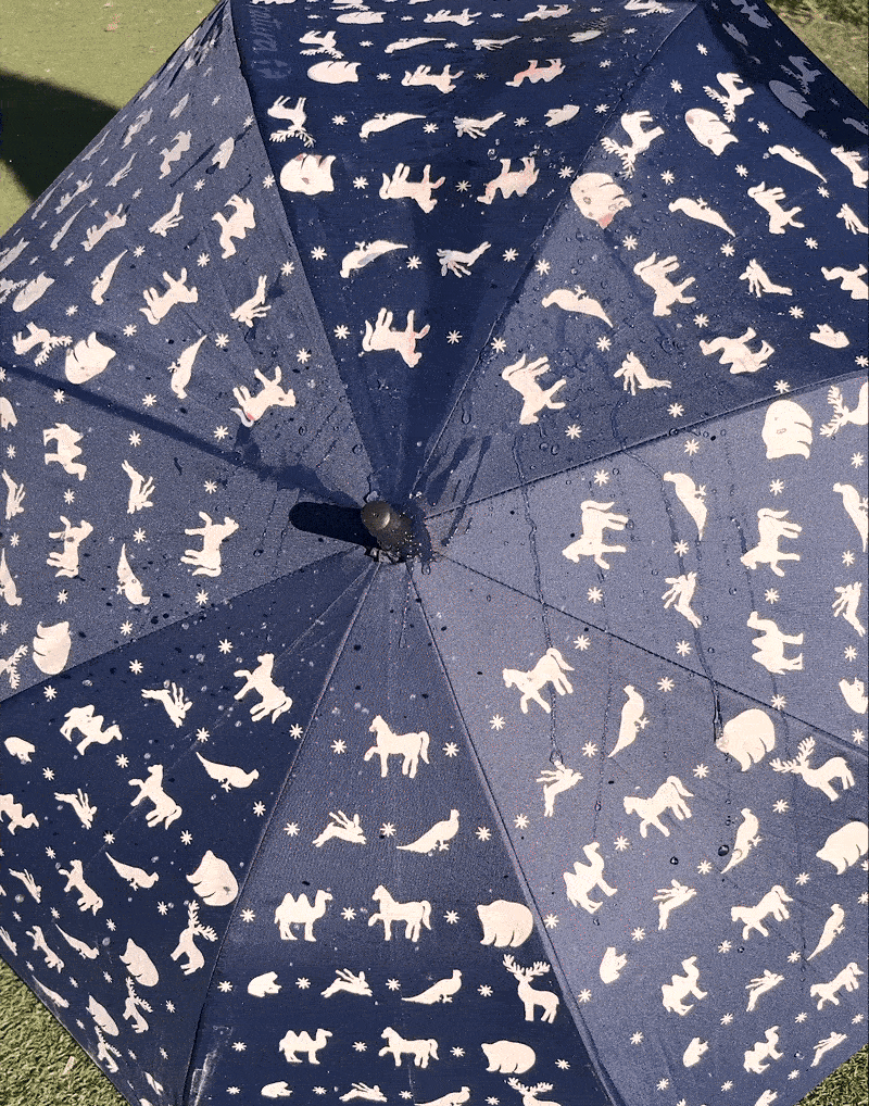 Parapluie magique enfants