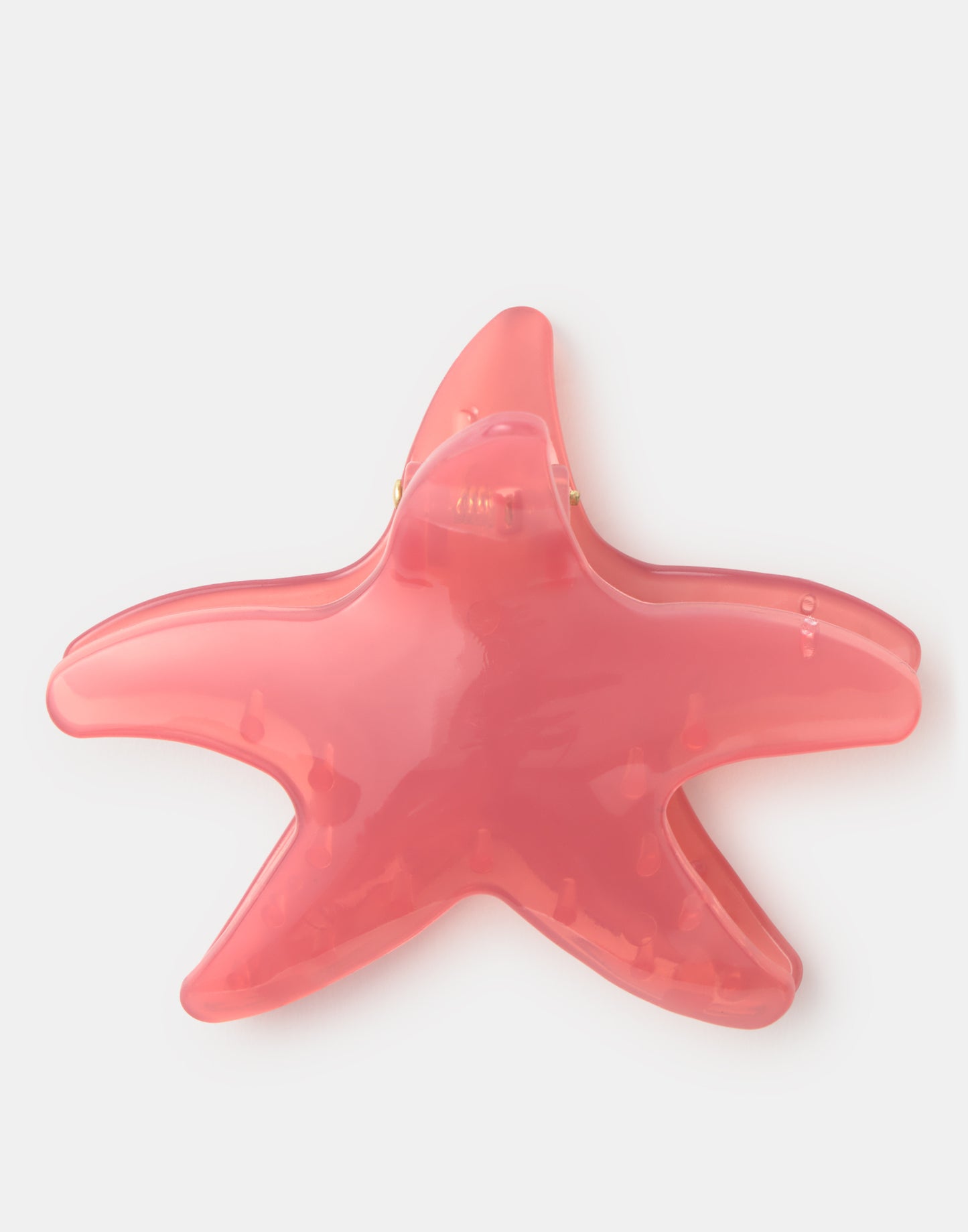 Pinza pelo estrella de mar