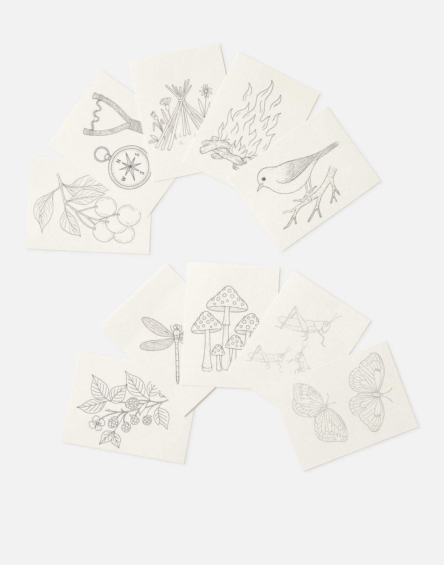 Kit artista naturaleza
