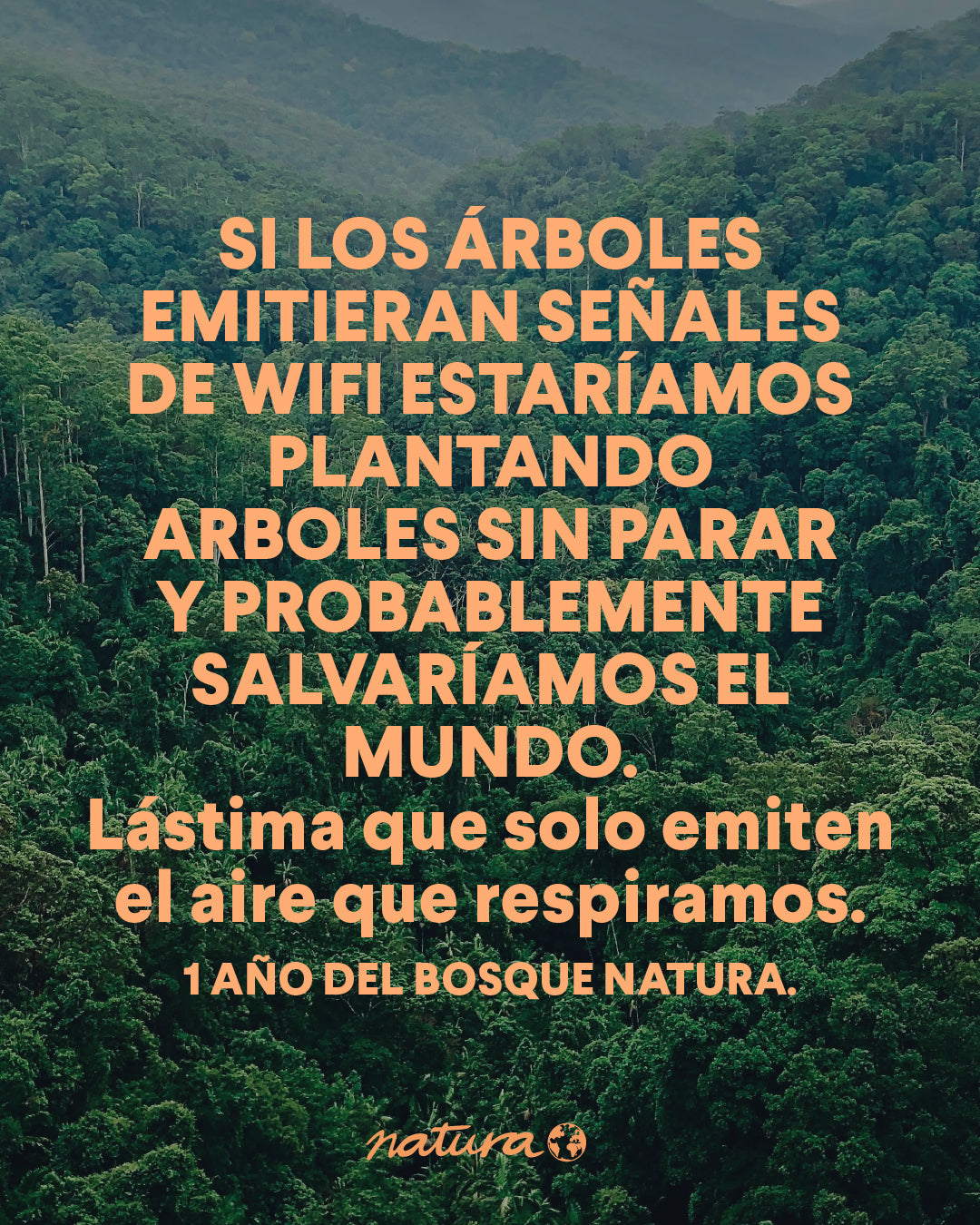 El bosque Natura sigue creciendo junto a Saving the Amazon 🌳