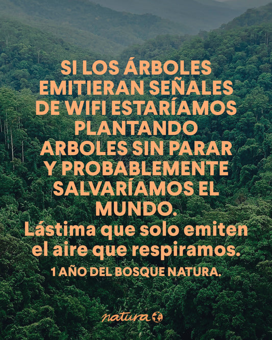 El bosque Natura sigue creciendo junto a Saving the Amazon 🌳