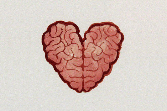 El cerebro del corazón