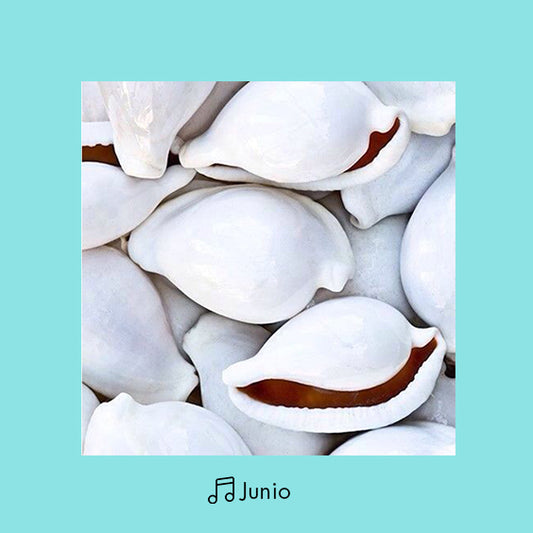 Playlist Junio - Conchas y mar 🔊