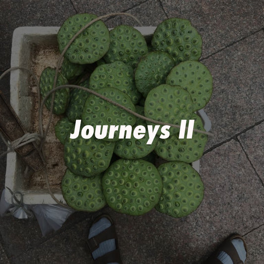 Journeys II: viajes que inspiran nuestras colecciones