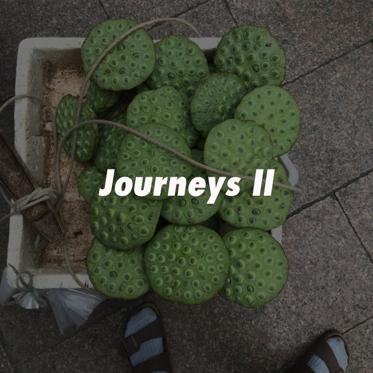 Journeys II: viajes que inspiran nuestras colecciones