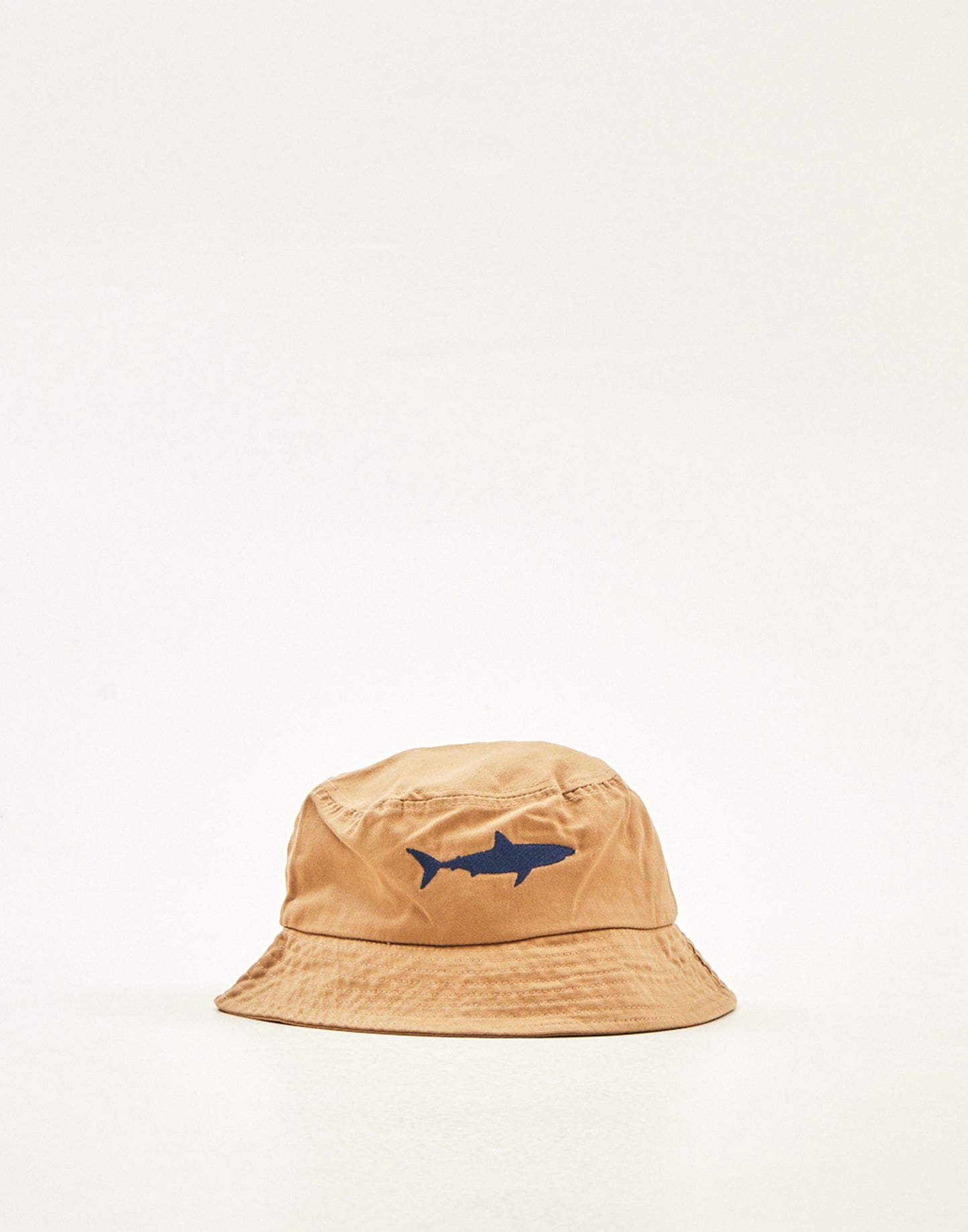 Sombrero Shark