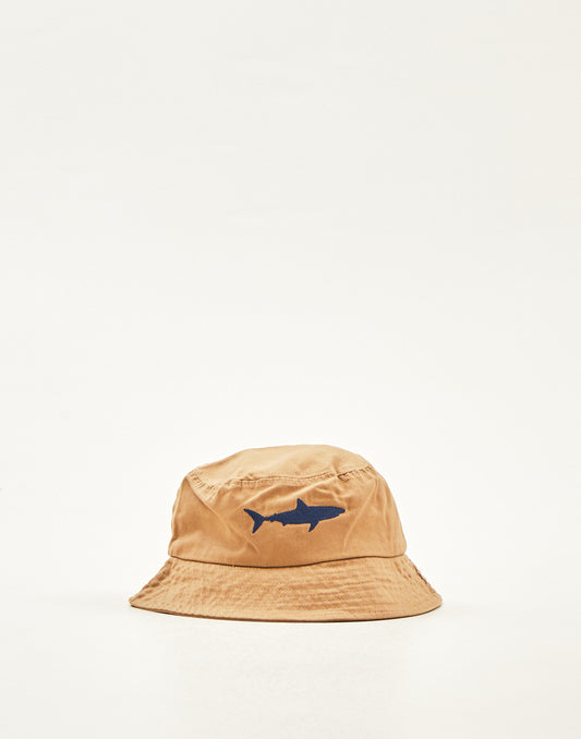 Chapeau Shark