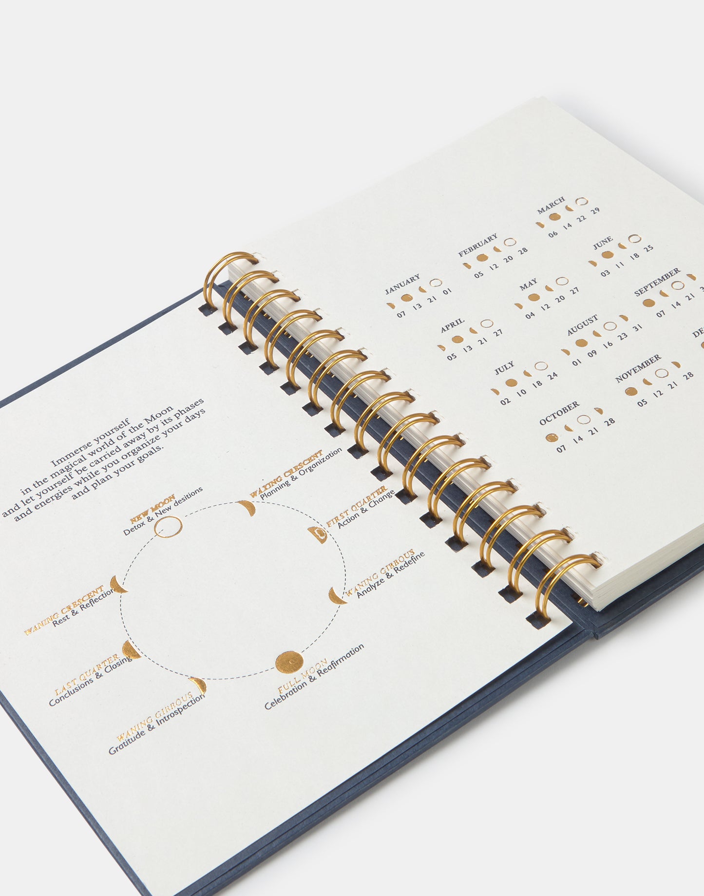 2025 Lunar Phases Planner