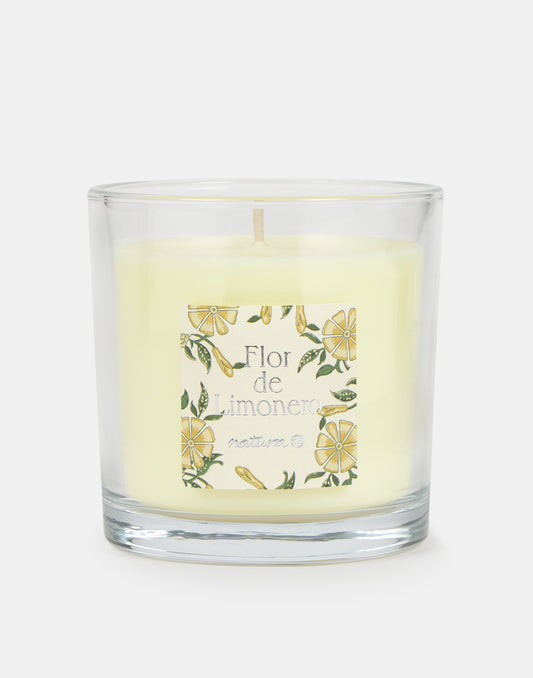 Vela Floral 190g
