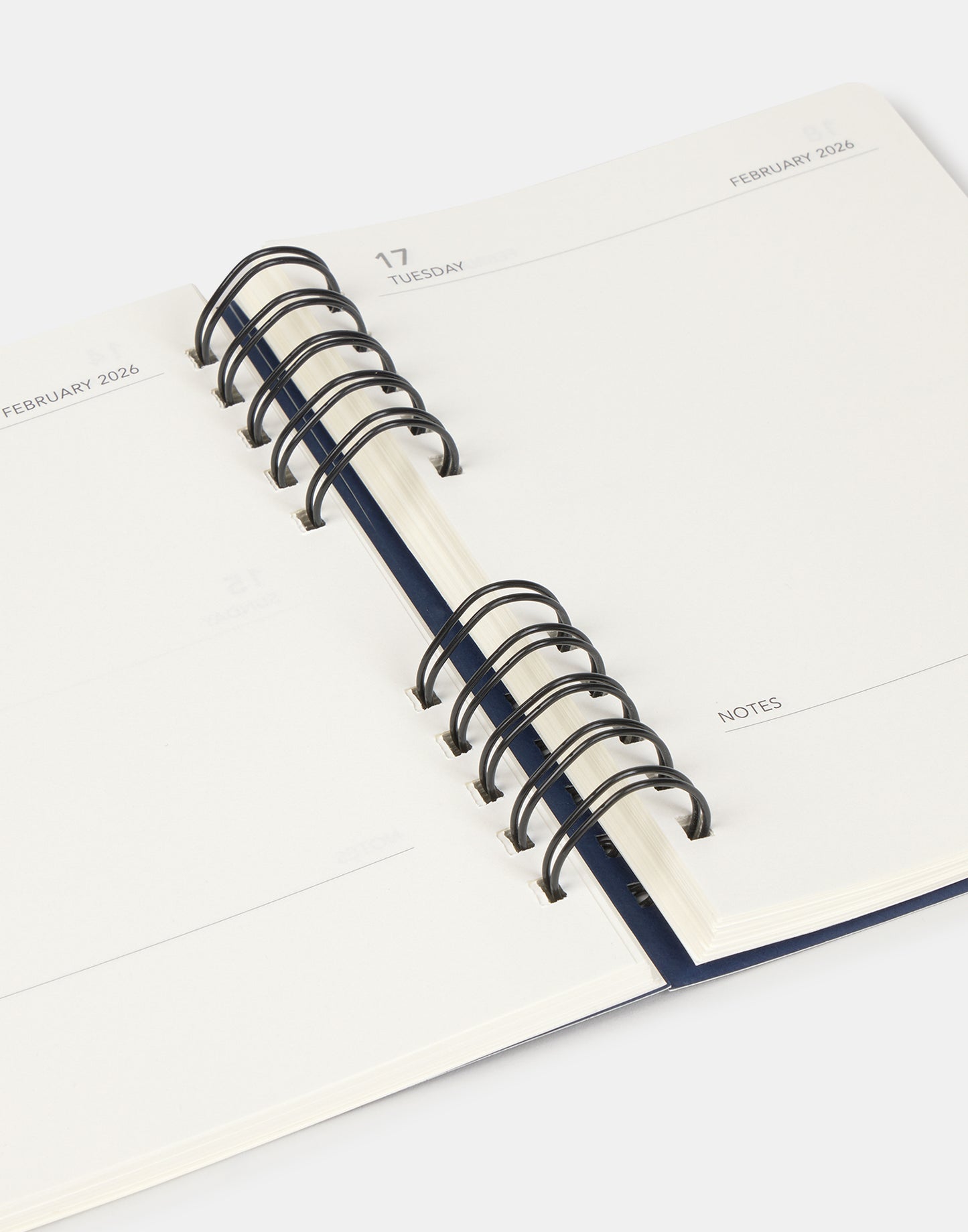 Agenda escolar World vista día