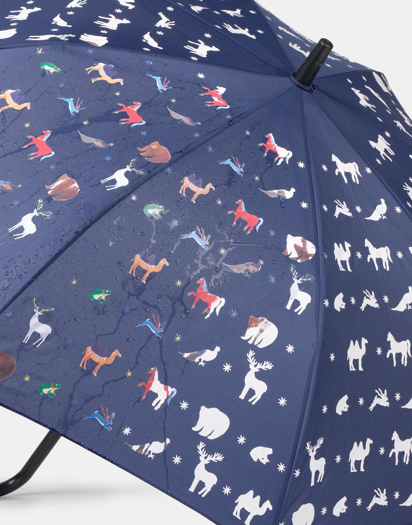 Paraguas mágico niños