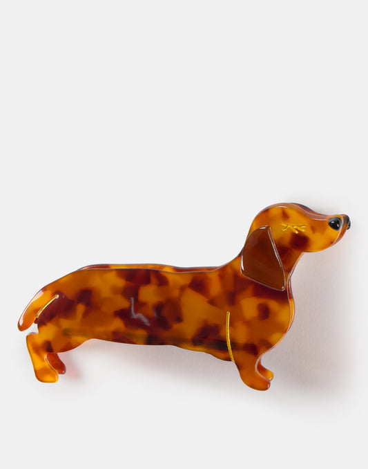 Pinza pelo perro salchicha