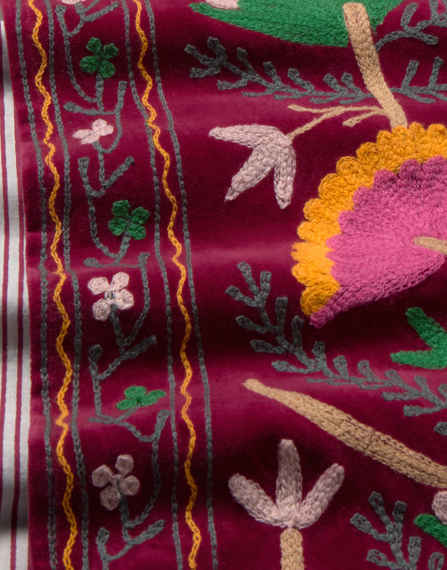 Chaqueta terciopelo India