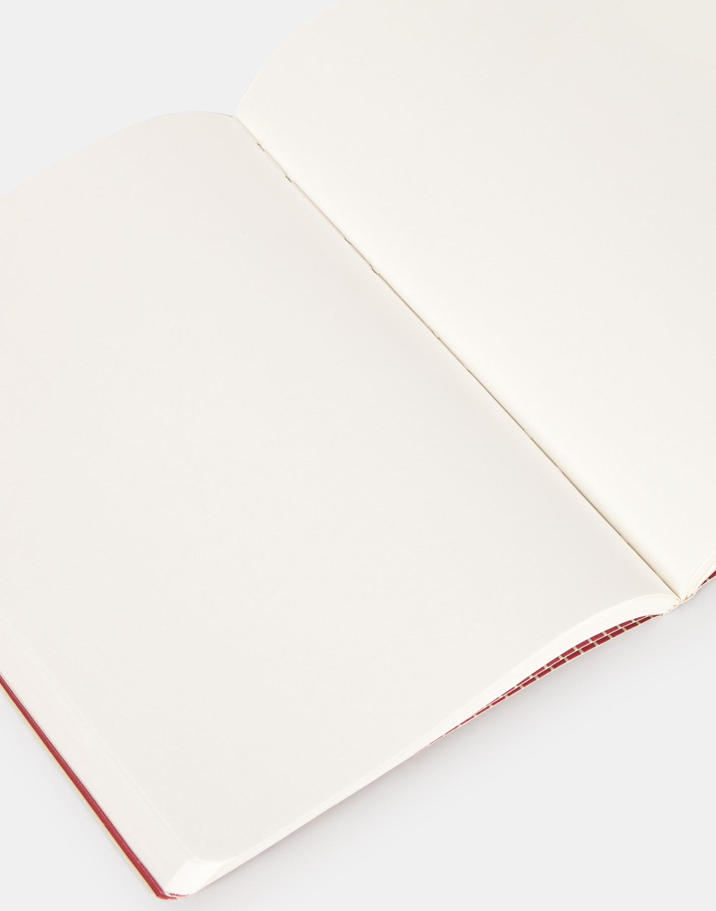 Libreta animal print