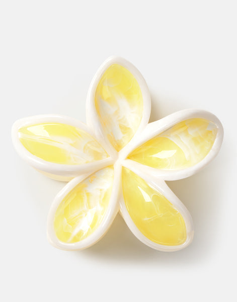 Hawaii Hair Clip