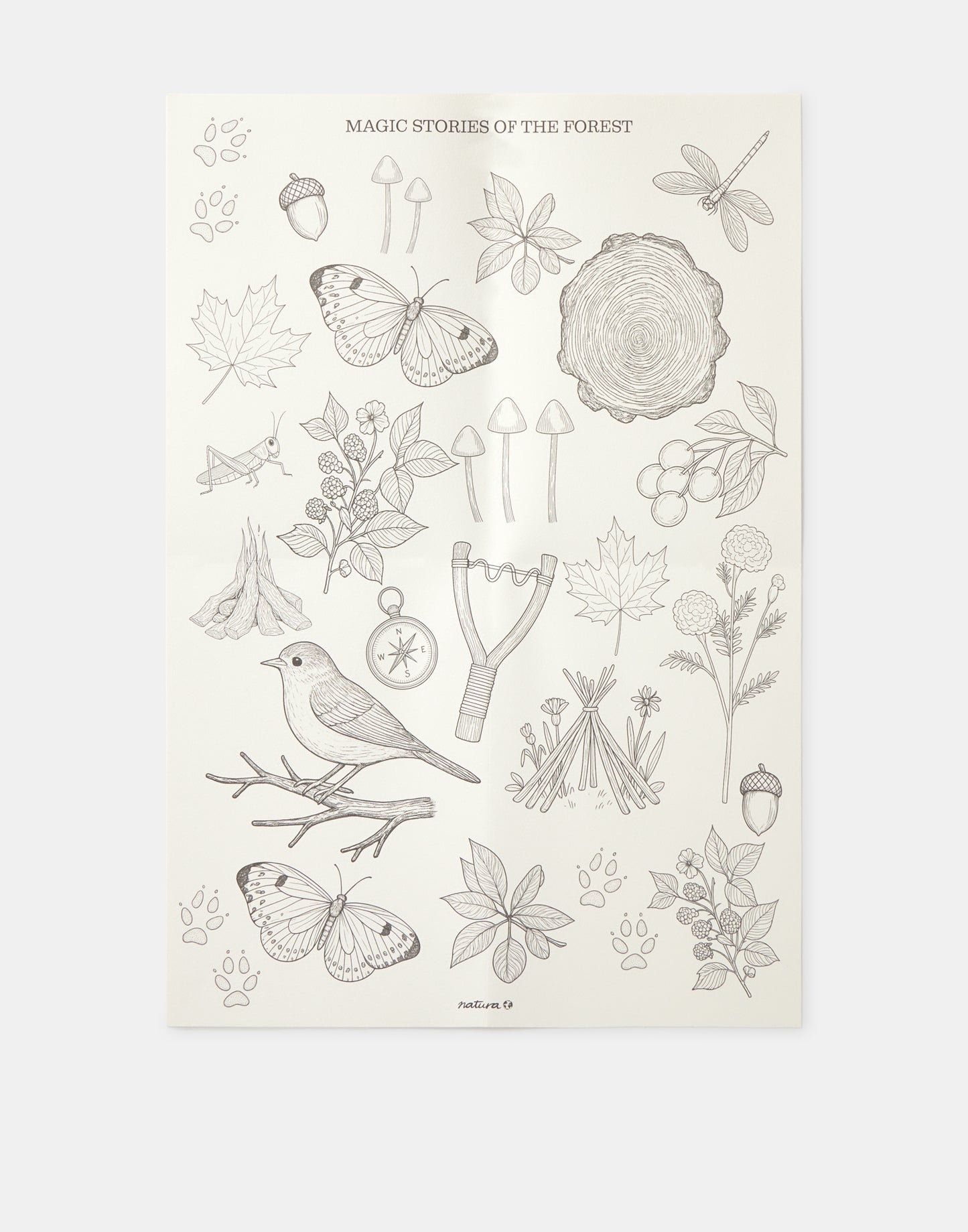 Poster para colorear Forest