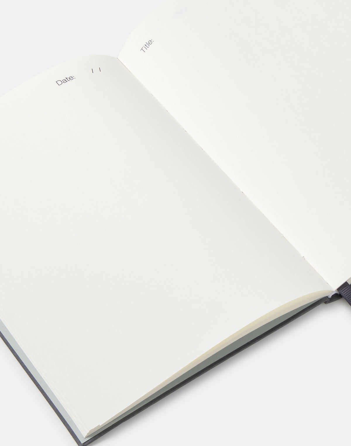 Carnet Sketches & Intentions