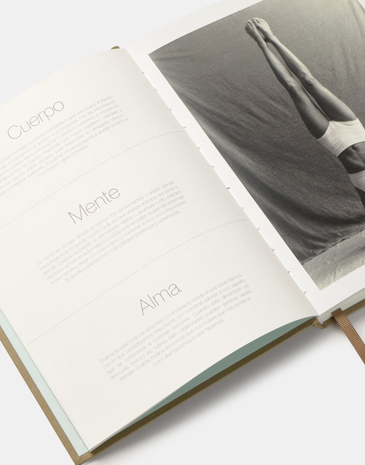 Diario Balance Journal