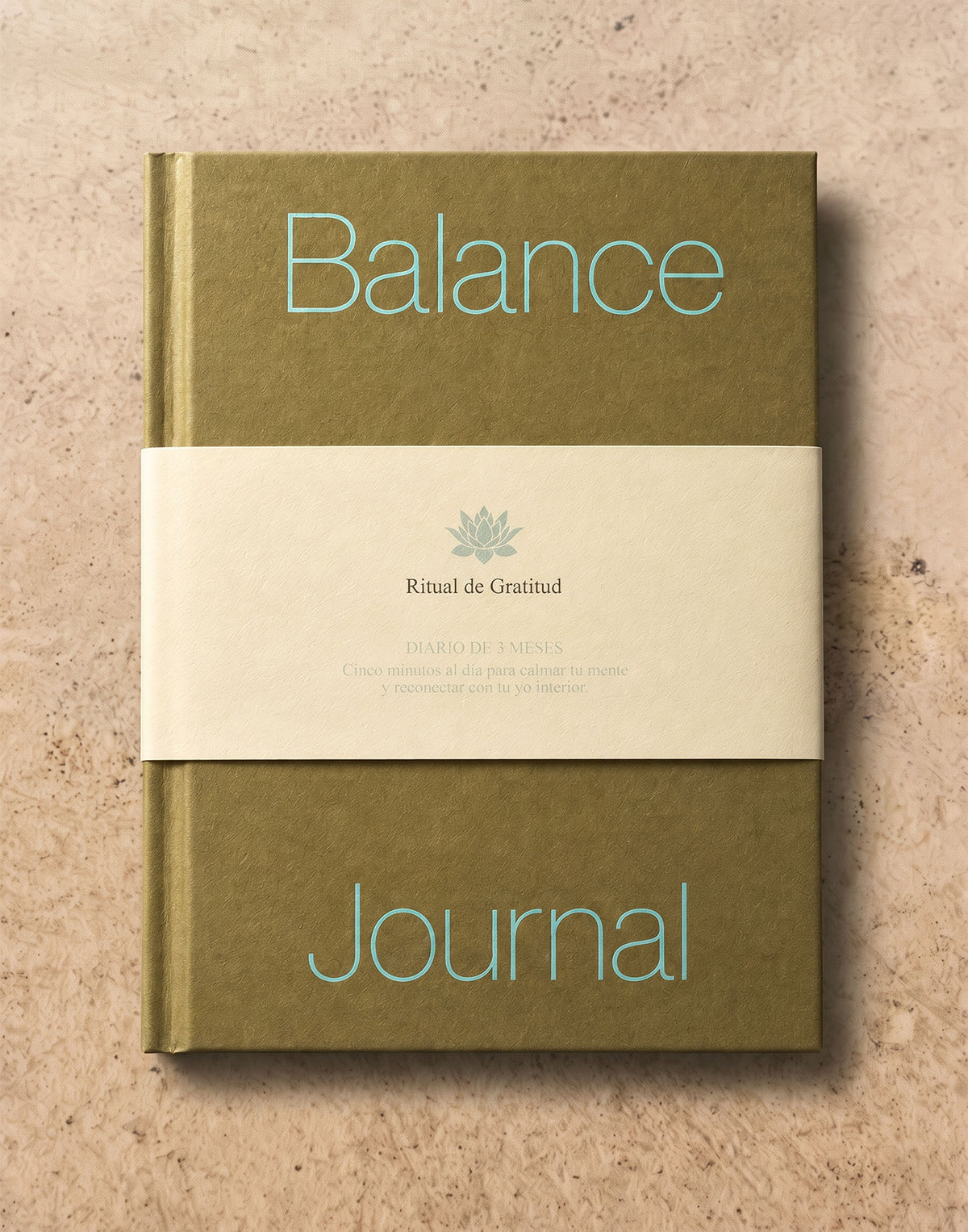 Diario Balance Journal