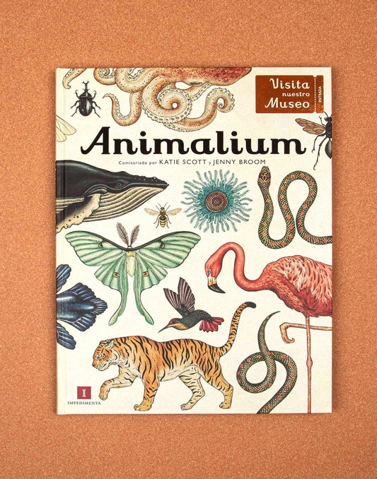 Animalium